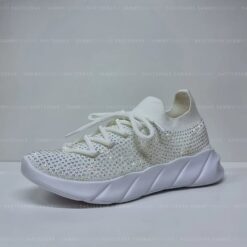 ws0011