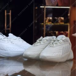 ws0071